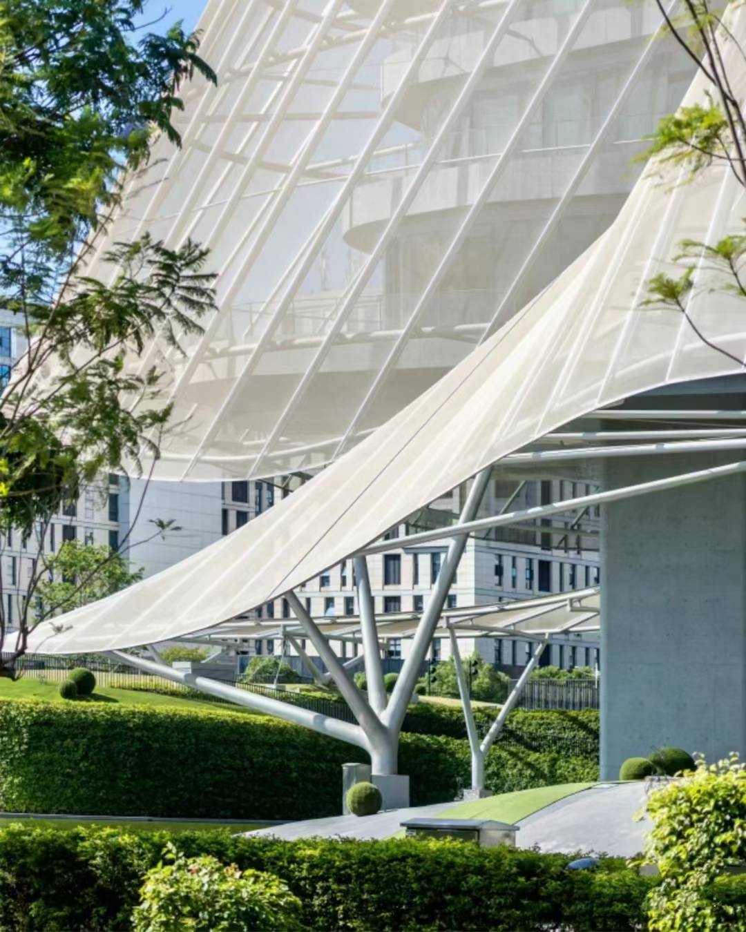 PTFE網(wǎng)格膜的介紹