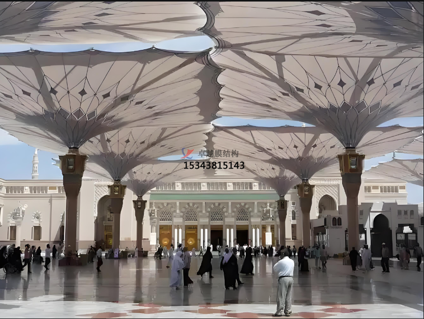 PTFE網(wǎng)格膜，有哪些類別呢？